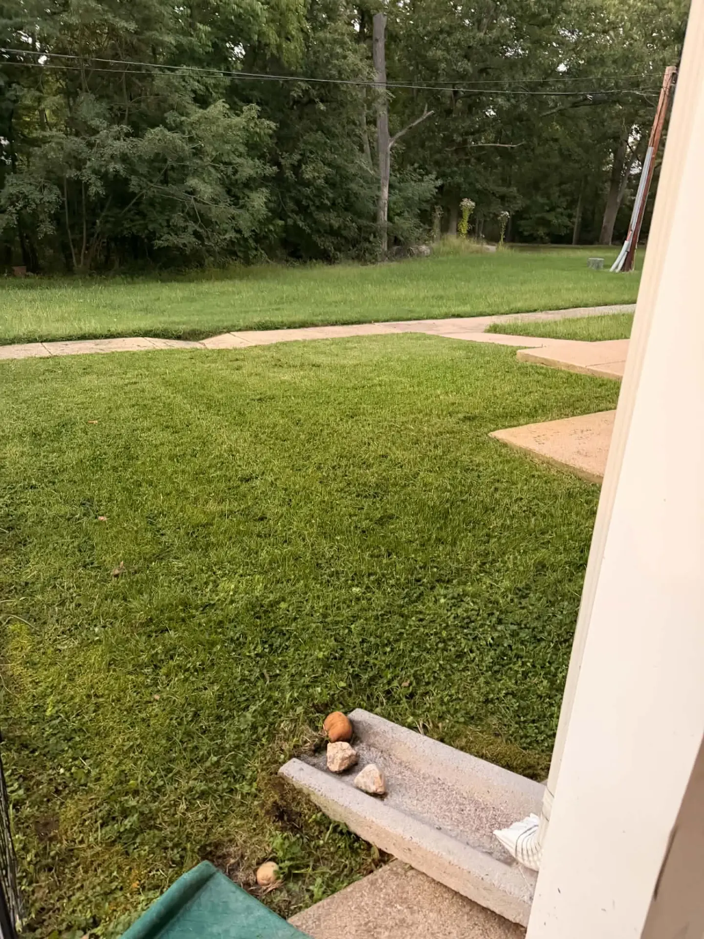 Example qualifying side yard with fresh grass along a walkway and fence line