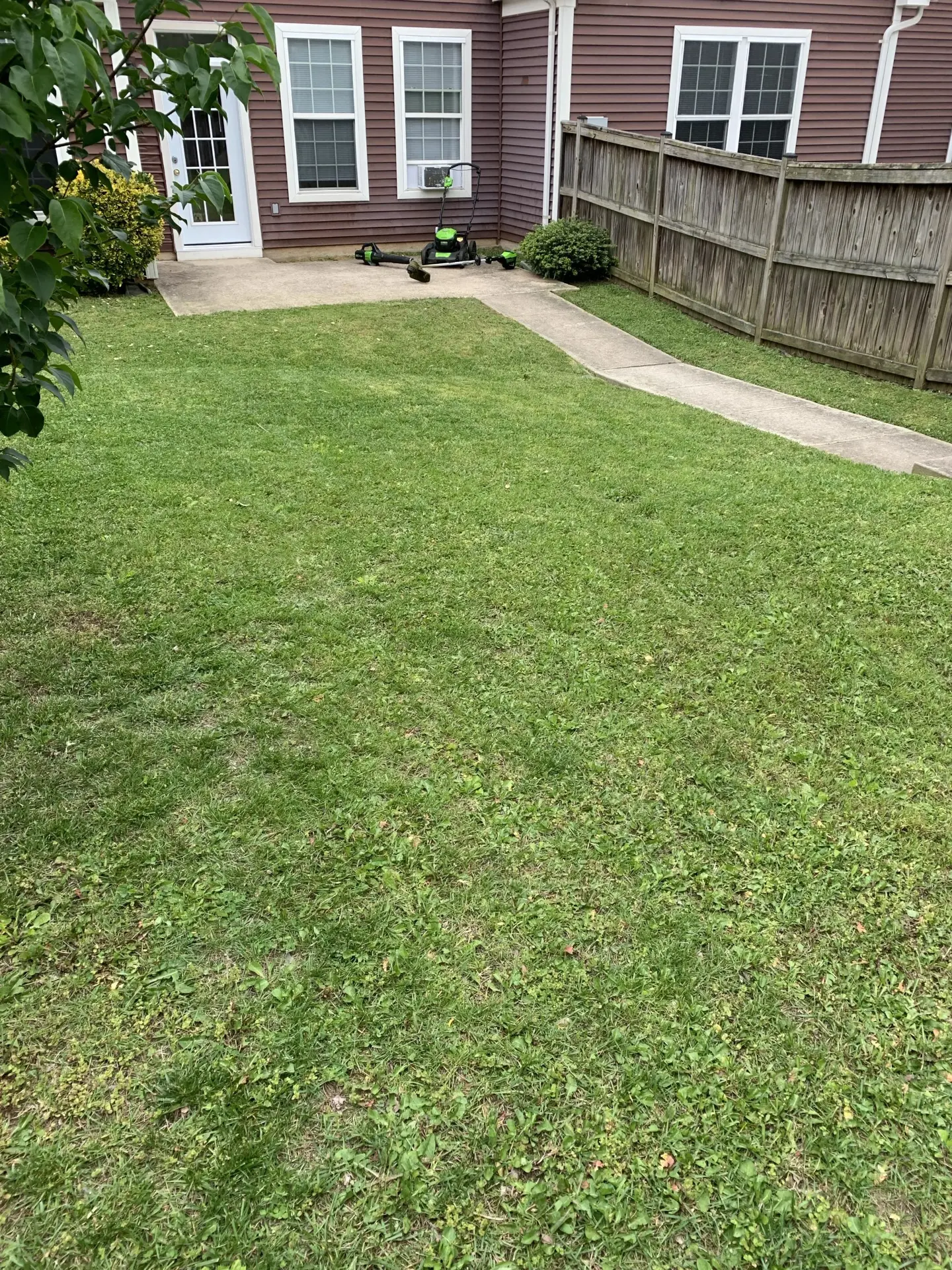 Backyard lawn mowed and trimmed around the walkway and patio