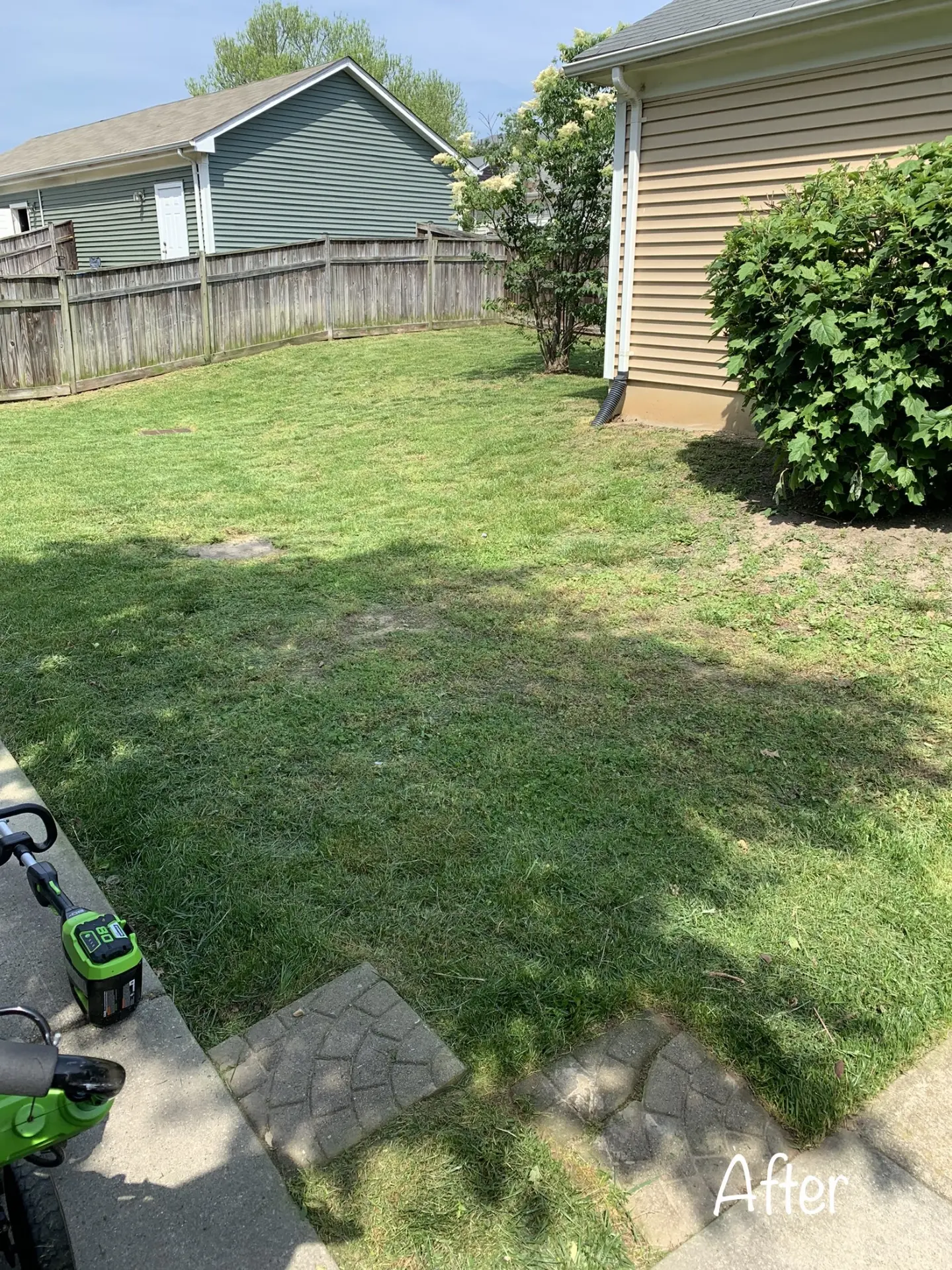 Side yard freshly cut with tidy edges along the fence line