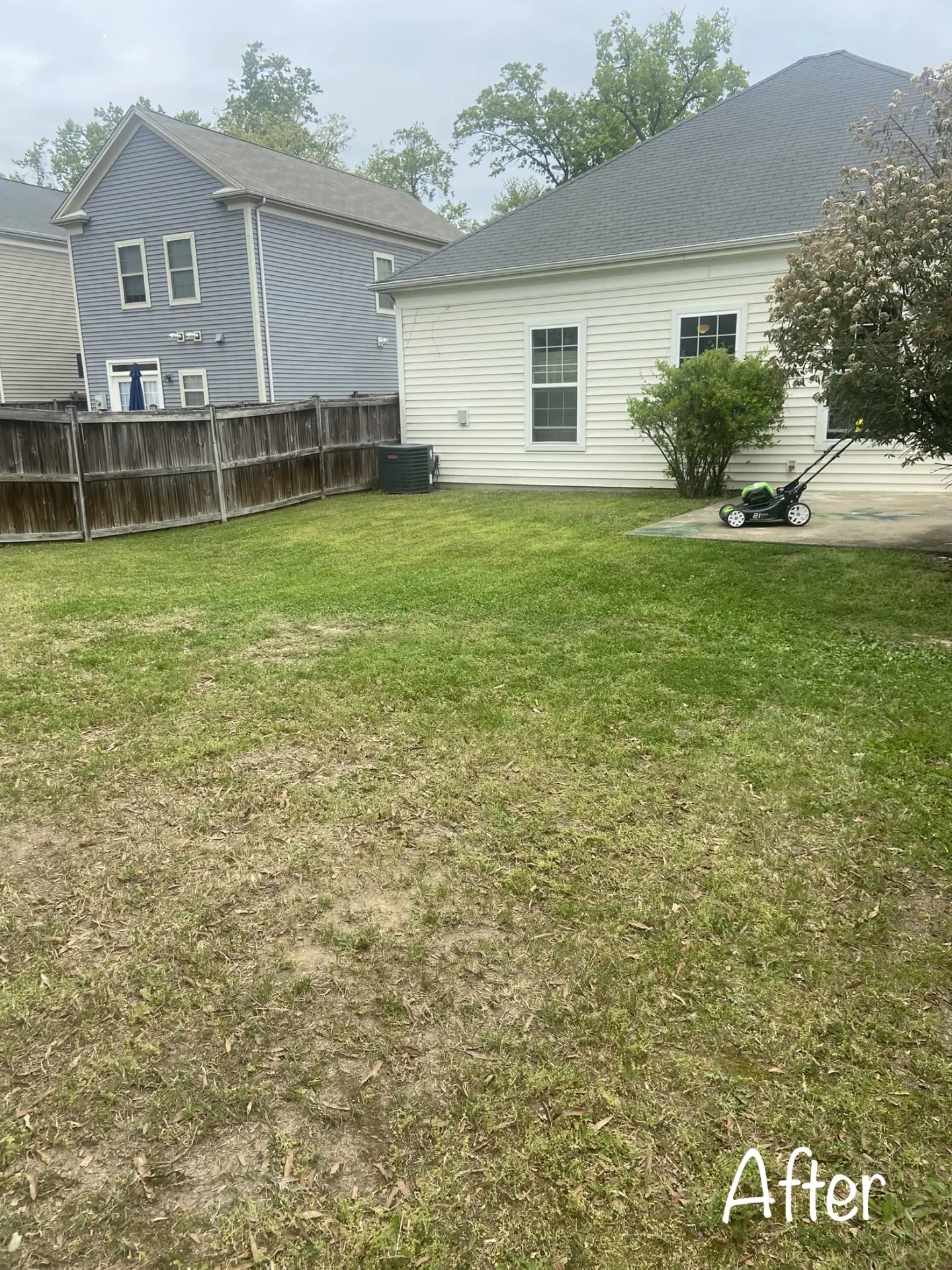 Freshly mowed backyard lawn with clean edges after a service visit